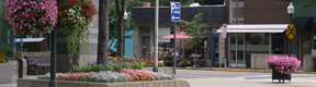 municipal services: clean downtown street with flower planter and hanging baskets